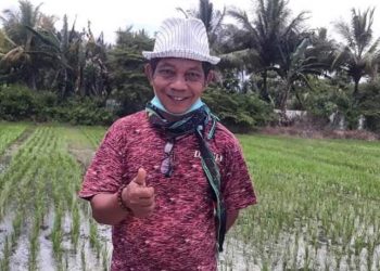 Harus Segera Dipikirkan, Tenaga Penyuluh Dan POPT Pertanian Kabupaten Banggai Mulai Berkurang