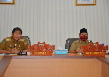 Bupati Banggai Jadi Narasumber Diskusi Nasional Bertajuk “Pandemi, Inovasi Dan Kebangkitan Ekonomi Daerah”