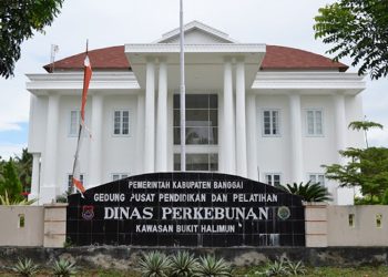 Dinas TPHP Umumkan Penerimaan Staf Lapangan dan Tenaga Administrasi Program IPDMIP