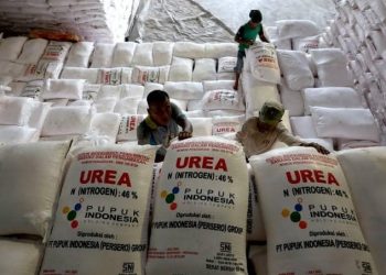 Alokasi Pupuk Bersubsidi Kabupaten Banggai Sebanyak 13.781 Ton Untuk Tahun 2021