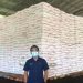 9.988 Ton Pupuk Urea Bersubsidi untuk Petani di Sulteng Siap Disalurkan
