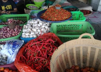 Harga Cabe Rawit di Kota Luwuk Kembali Normal