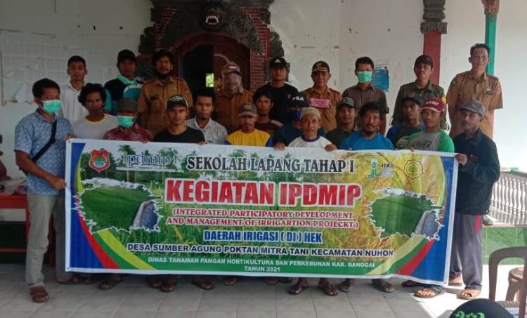 Dinas Tanaman Pangan Hortikultura Dan Perkebunan Kabupaten Banggai telah memulai sekolah lapang IPDMIP di Desa Damai Makmur Dan Desa Sumber Agung, Kecamatan Nuhon.