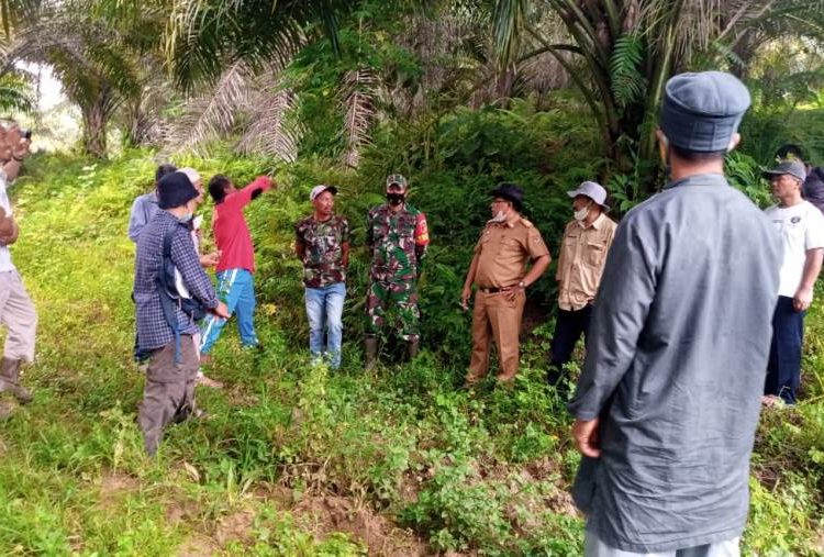 FOTO : Saat Tim Investigasi Pemda Banggai Turun Lapangan Terkait Konflik PT. Sawindo Cemerlang Dan Petani Batui