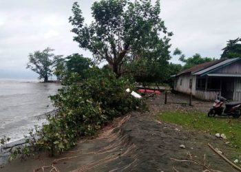 Dusun Tingki-Tingki Ditengah Ancaman Abrasi Pantai di Kelurahan Sisipan