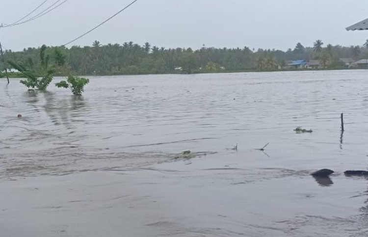 Banjir yang terjadi di areal persawahan di Desa Hunduhon Kecamatan Luwuk Timur