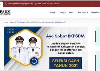 Inilah 15 Persyaratan Umum Bagi Pelamar CPNS 2021 Yang Diumumkan BKPSDM Kabupaten Banggai
