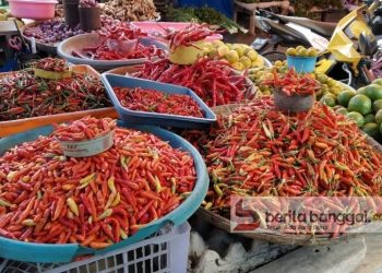 Harga Cabe dan Bawang di Pasar Simpong Mulai Turun