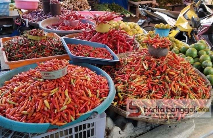 Harga Cabe di Pasar Simpong Luwuk, Kabupaten Banggai mulai turun. (Foto: Yusman/Beritabanggai.com)