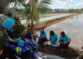 Sekolah Lapang IPDMIP Banggai Tahap I Sasar 500 Petani di 11 Daerah Irigasi