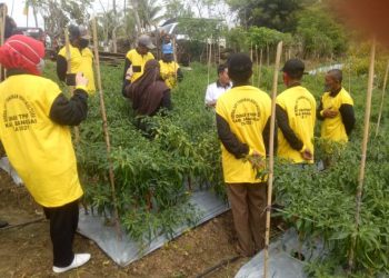 Dinas TPHP Banggai Intens Berikan Pembinaan Penanggulangan Hama Kepada Petani