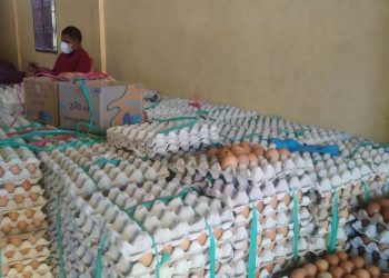 Pedagang telur ayam di Pasar Simpong Luwuk, Kabupaten Banggai