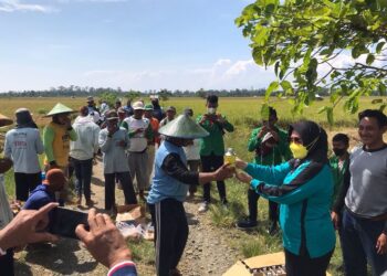 Dinas TPHP Kabupaten Banggai Gelar Gerakan Pengendalian Hama Bersama Petani Toili