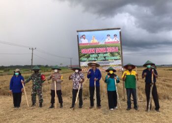 Dinas TPHP Banggai Galakan Penanaman Kedelai Dengan Target 3000 Hektar