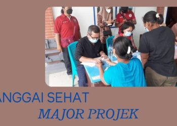 Mengenal Major Projek Pada Program Banggai Sehat Periode 2021-2026