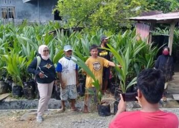 Penyaluran bantuan bibit kelapa di Desa Taugi Kecamatan Masama (Foto: FB/Sarniati)