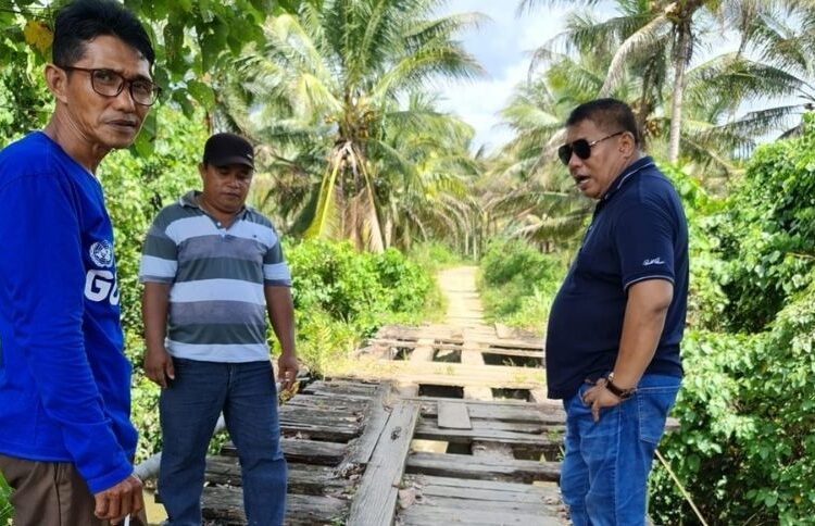 Politisi Partai NasDem Sukri Djalumang yang juga Ketua Komisi II DPRD Kabupaten Banggai meninjau lokasi jembatan petani yang kini sedang rusak