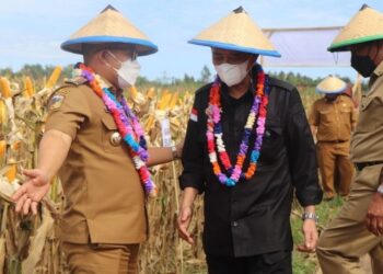 Sudah Maret Kegiatan Belum Jalan, Bupati Amirudin Akan Evaluasi Kinerja OPD