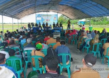 Bupati Hadiri Panen Perdana Program Satu Juta 1 Pekarangan