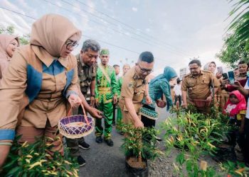 Dinas Ketahanan Pangan Sukses Gelontorkan Program 1 Juta Satu Pekarangan di Desa Taugi Kecamatan Masama