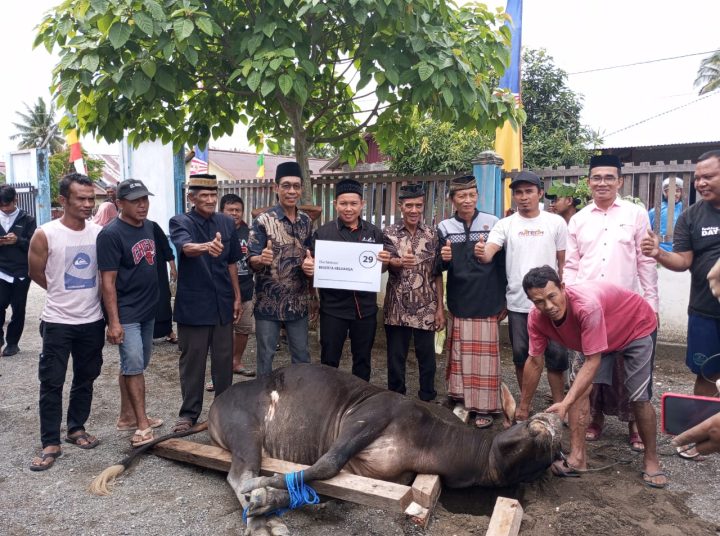 Karyawan JOB Tomori menyerahkan hewan qurban kepada masyarakat melalui masjid yang berada di area projek Migas