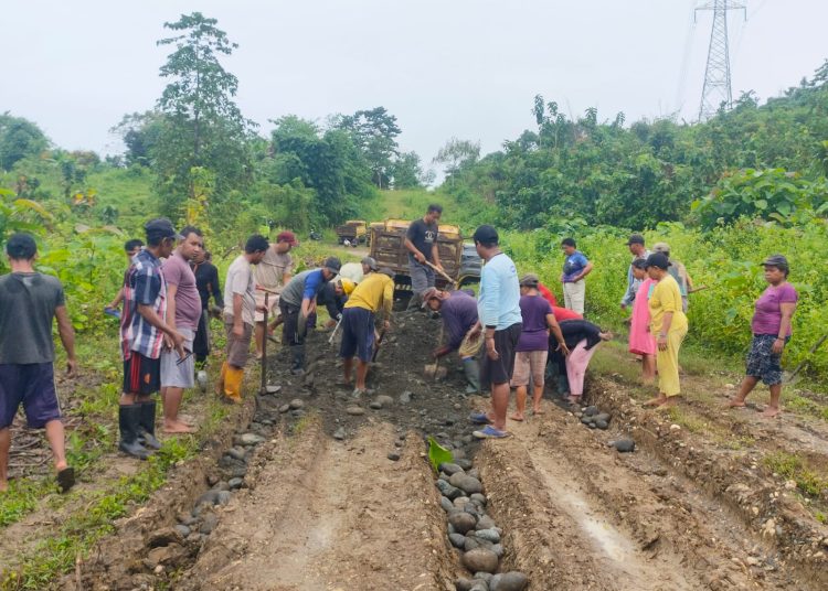 Relawan Sulianti Murad melakukan perbaikan jalan di wilayah Kecamatan Batui dan Kecamatan Toili