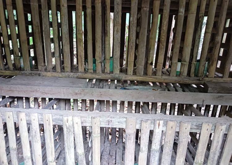Bekas kandang ayam petelur dari Program Satu Juta Satu Pekarangan kini kosong dan tidak terdapat ayam lagi.