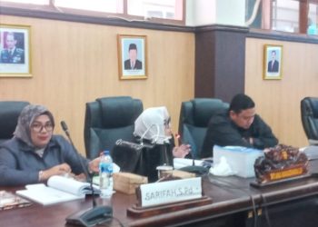 Kemungkinan Copy Paste, Anggota Banggar DPRD Banggai Soroti Dokumen KUA PPAS 2025