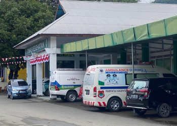 Dinkes Banggai Pastikan Optimalisasi Layanan Kesehatan, Termasuk Ambulans Gratis