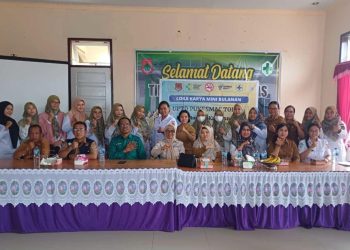 Dinkes Banggai Lakukan Pendampingan Mini Lokakarya Bulanan Puskesmas Toili I