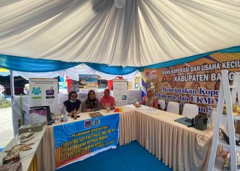Meriahkan Government Expo 2024, Stan Dinkop dan UKM Banggai Buka Pelayanan Publik