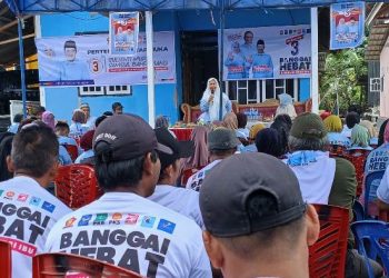Sulianti Murad : Mobil Dinas Cukup Satu Saja Selama 5 Tahun