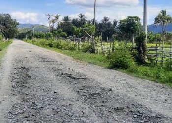 Jalan di Desa Trans Mayayap Bualemo Rusak Parah, Warga: Cuma Janji