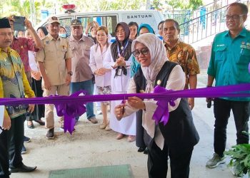 Plt Kadinkes Banggai Hadiri Peluncuran Program Integrasi Layanan Primer di Puskesmas Sinorang dan Toili II