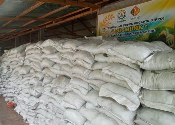 JOB Tomori Dukung Pos Bidik Cendana Pura Produksi Pupuk Organik Dari Limbah