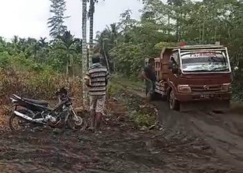 Gula-gula Jelang PSU di Simpang Raya, Jalan Usaha Tani Ditimbun hingga 2 Kilometer 