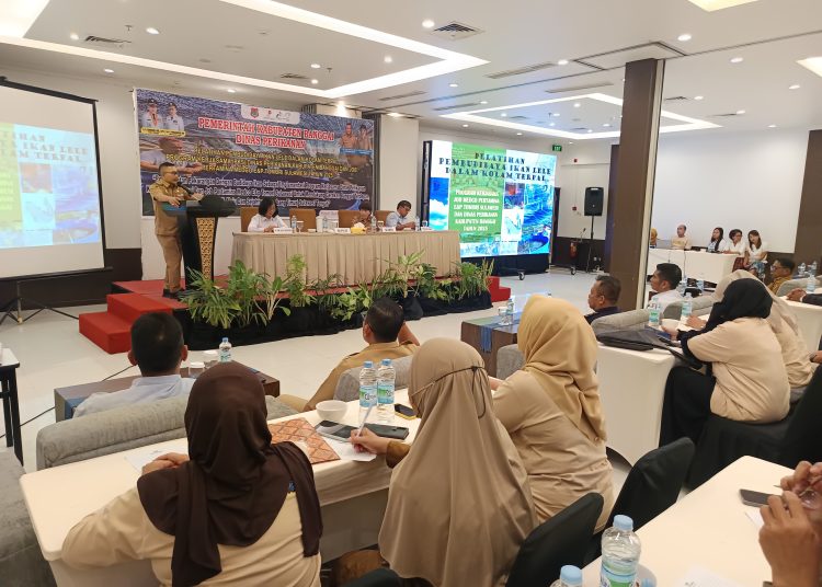 Joint Operating Body Pertamina Medco E&P Tomori Sulawesi (JOB Tomori) menggelar pelatihan budidaya ikan lele menggunakan media terpal. Kegiatan tersebut dilaksanakan selama dua hari yakni Selasa (29/7/2025) dan Rabu (30/7/2025) di Luwuk.