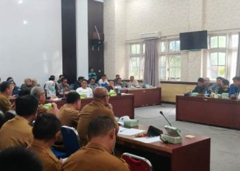 Pemda Harus Hilangkan Rp11 Miliar Pengadaan Mobil Dinas Dalam APBD Perubahan 2025