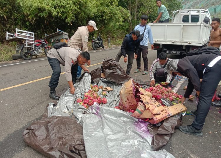 Untuk kesekian kalinya kecelakaan lalu lintas kembali terjadi di ruas jalan lingkar Batui, Kabupaten Banggai. Kali ini sebuah mobil pick up pengangkut sayur dan buah-buahan mengalami kecelakaan pada Rabu (6/5/2026) siang.