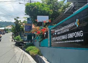 Dinkes Pastikan Belum Ada Peningkatan Kasus Campak di Banggai